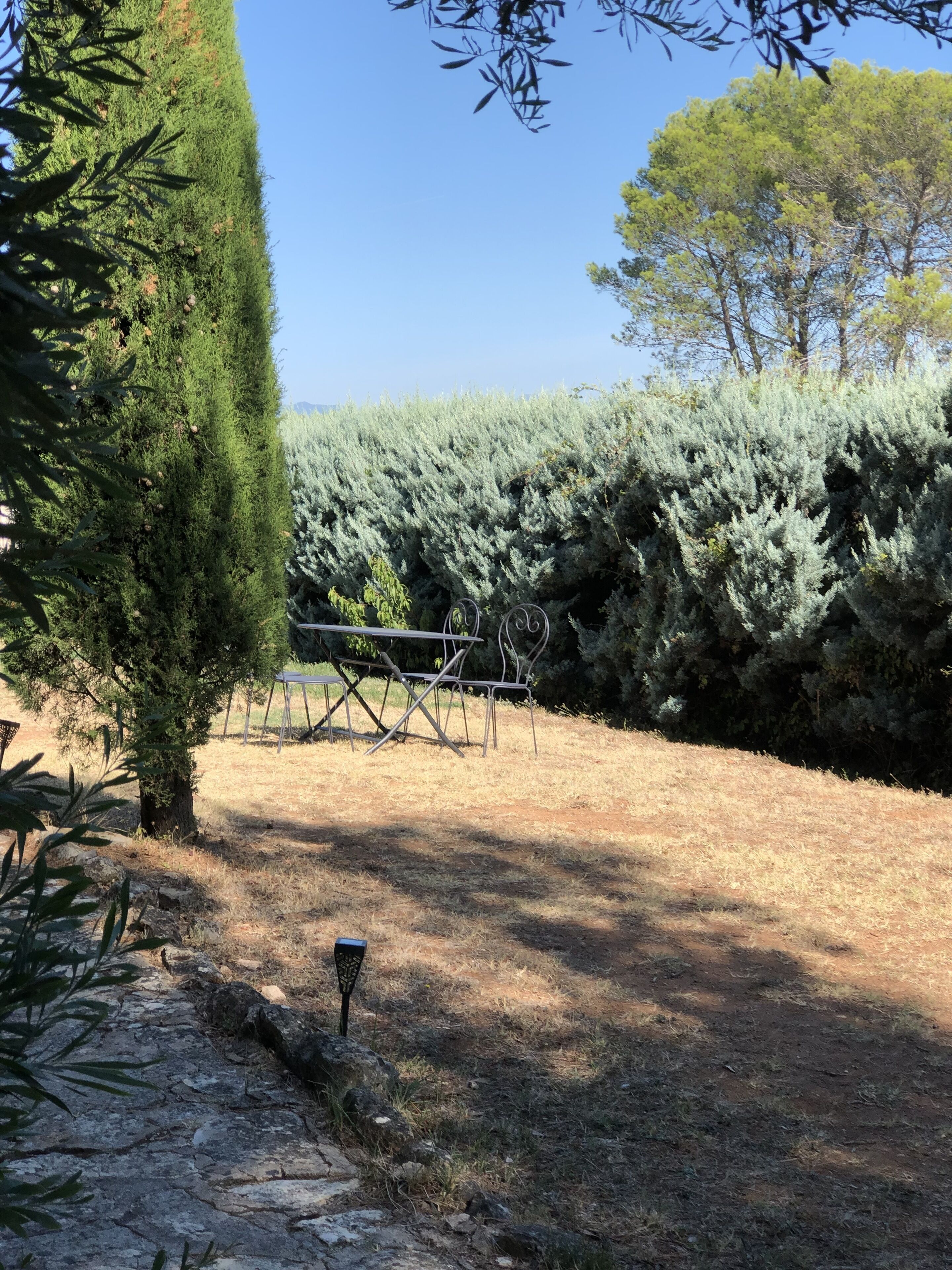 A garden with a stone pathway, neatly trimmed hedges, and a picnic table.