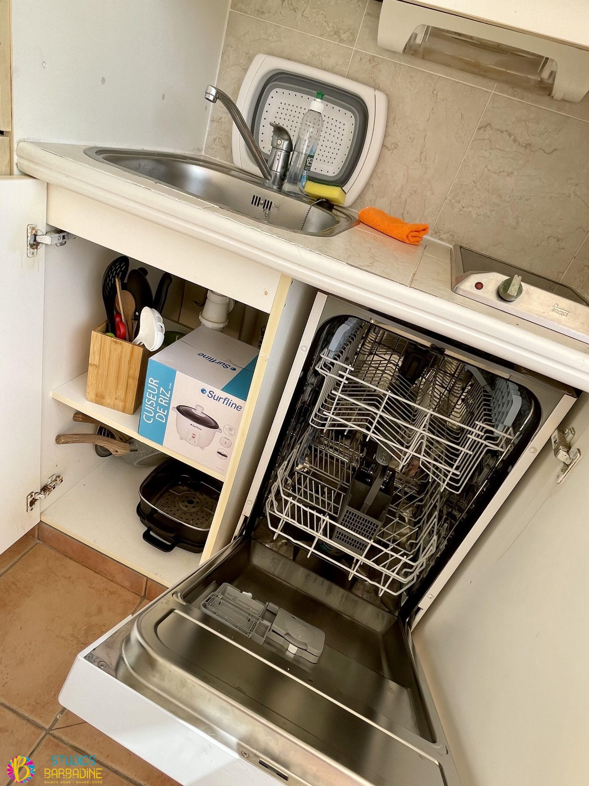 A kitchen with a dishwasher, a sink, and a dish rack.