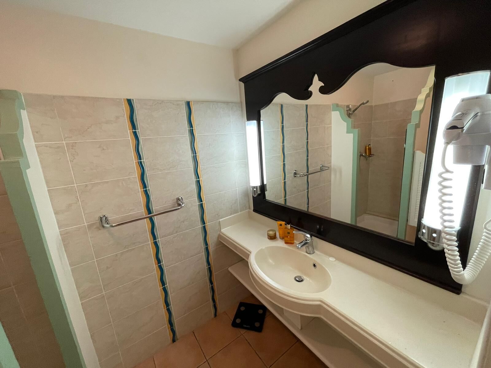 A bathroom with a white sink, a large mirror, and a shower with a grab bar.