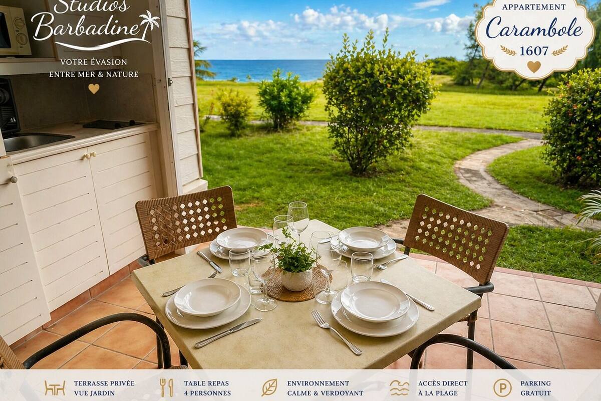 Panoramic Studio, 1 Queen Bed with Sofa bed, Sea View, Sea Facing (Carambole 1607 RDC Vue mer) | Terrace/patio