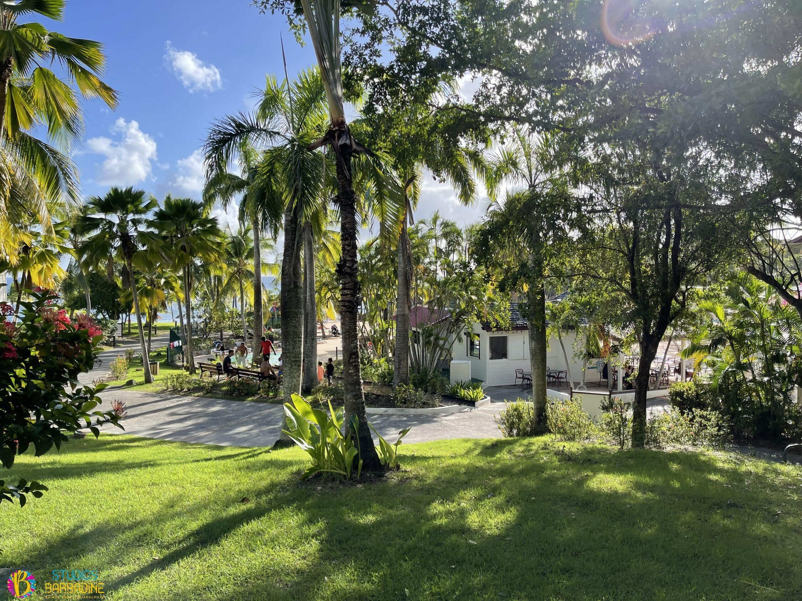 A tropical garden with palm trees, a pool, and a building with outdoor seating.