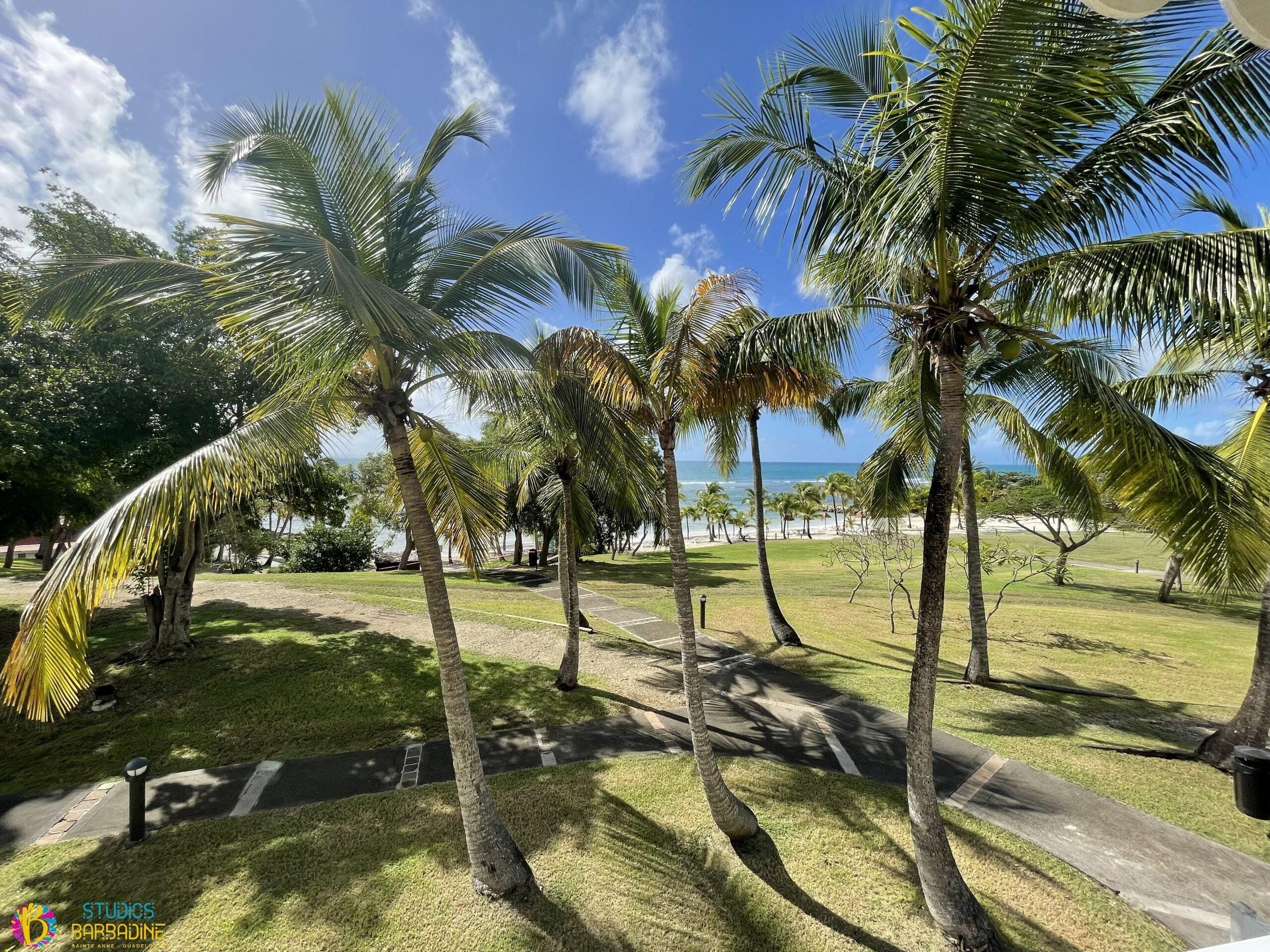 A tropical park with palm trees, a paved path, and a view of the beach.