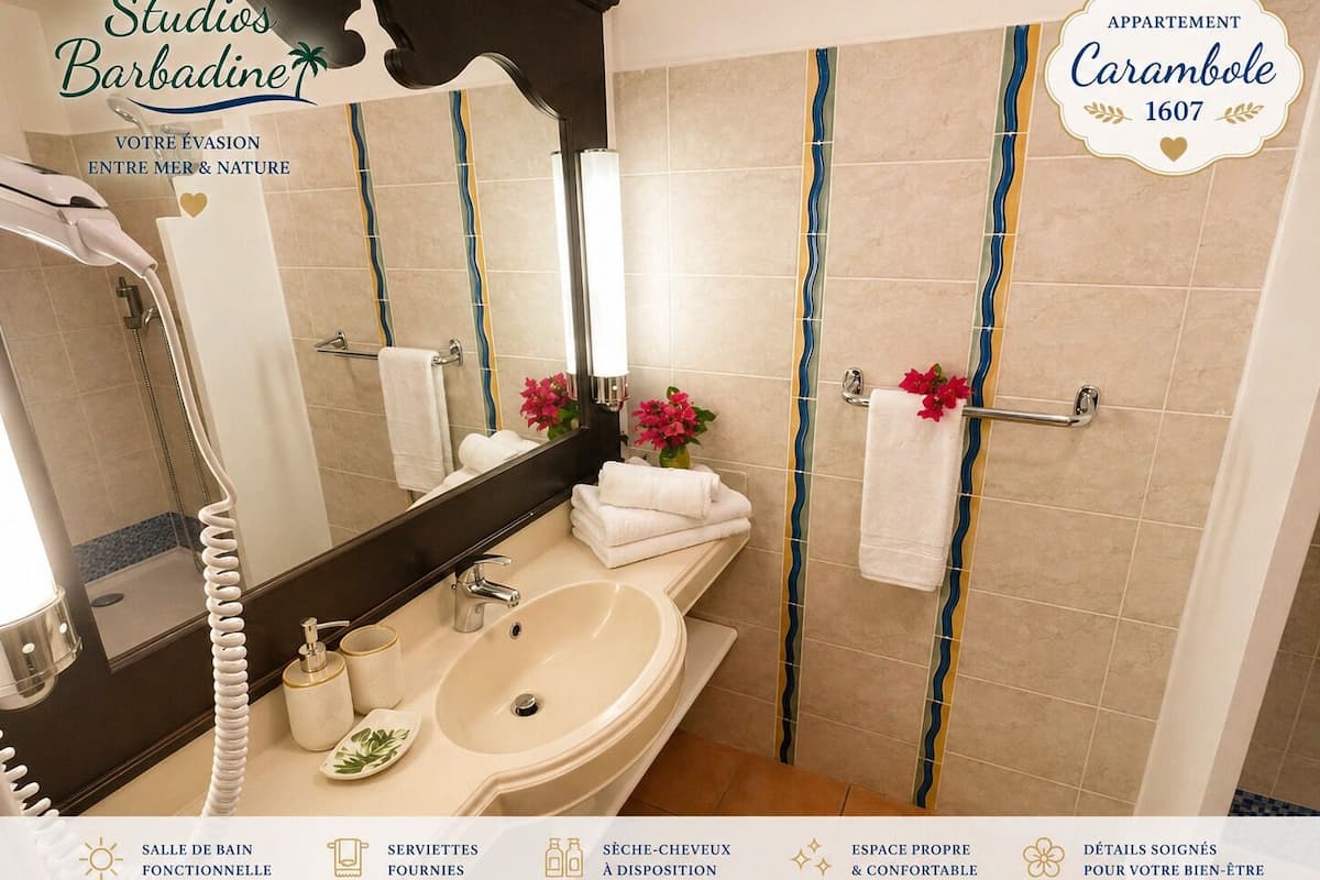 Panoramic Studio, 1 Queen Bed with Sofa bed, Sea View, Sea Facing (Carambole 1607 RDC Vue mer) | Bathroom | Shower, hair dryer, towels, soap
