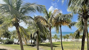 Tropisch strand met palmbomen, heldere lucht en uitzicht op de oceaan.