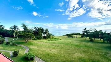 A grassy area with a pathway leading to a beach, palm trees, and a clear sky.