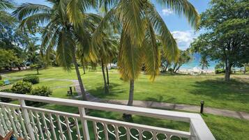 A lush garden with palm trees, a pathway, and a view of the beach.