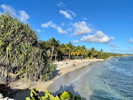 Panoramic Studio Suite, Sea View, Poolside (Barbadine 1013) | Beach/ocean view