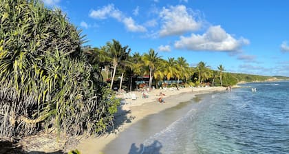 Barbadine - Resorts Flats - Sainte Anne