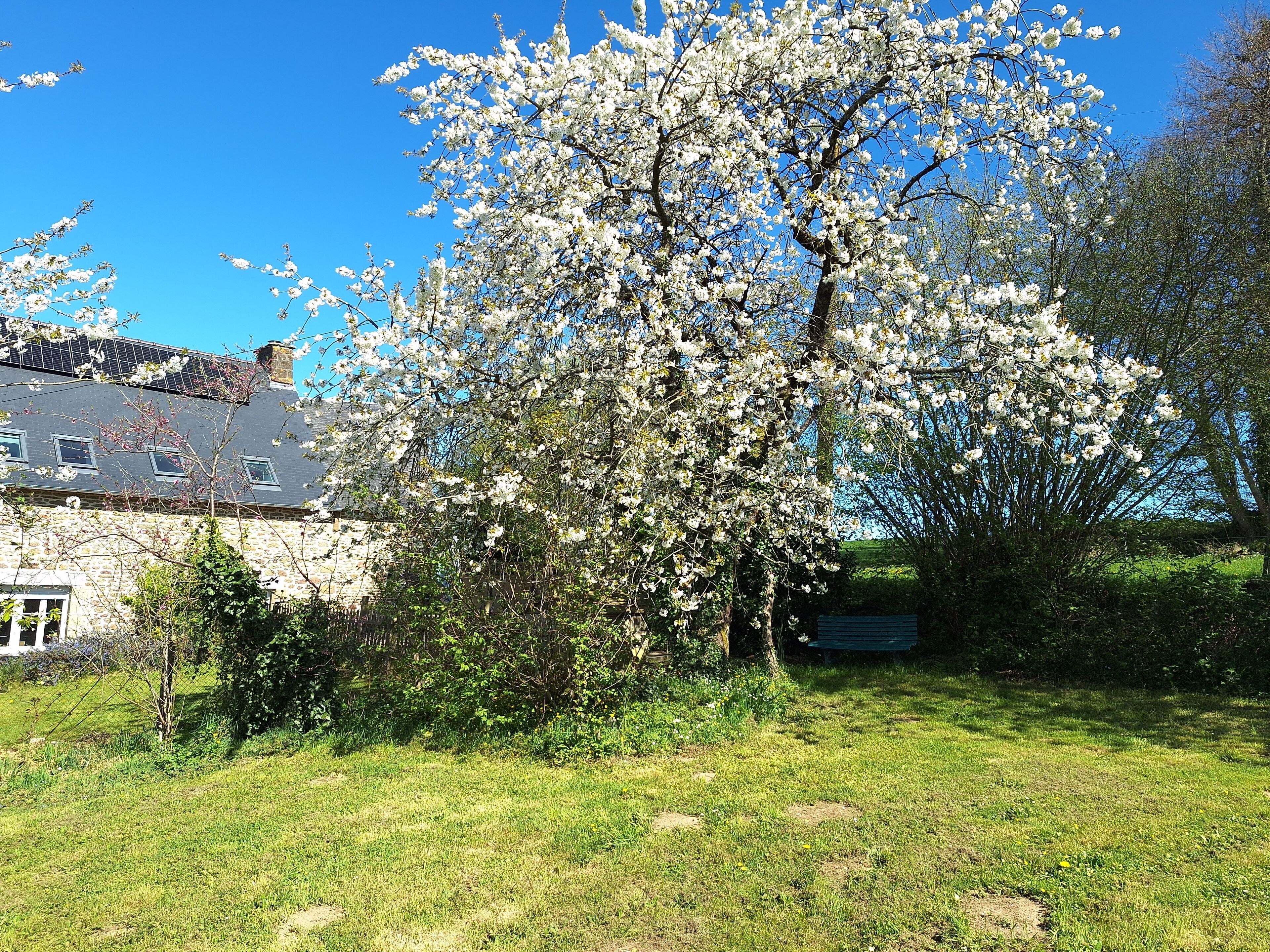 Un bâtiment en pierre avec un jardin devant, entouré d’arbres et sous un ciel bleu clair.