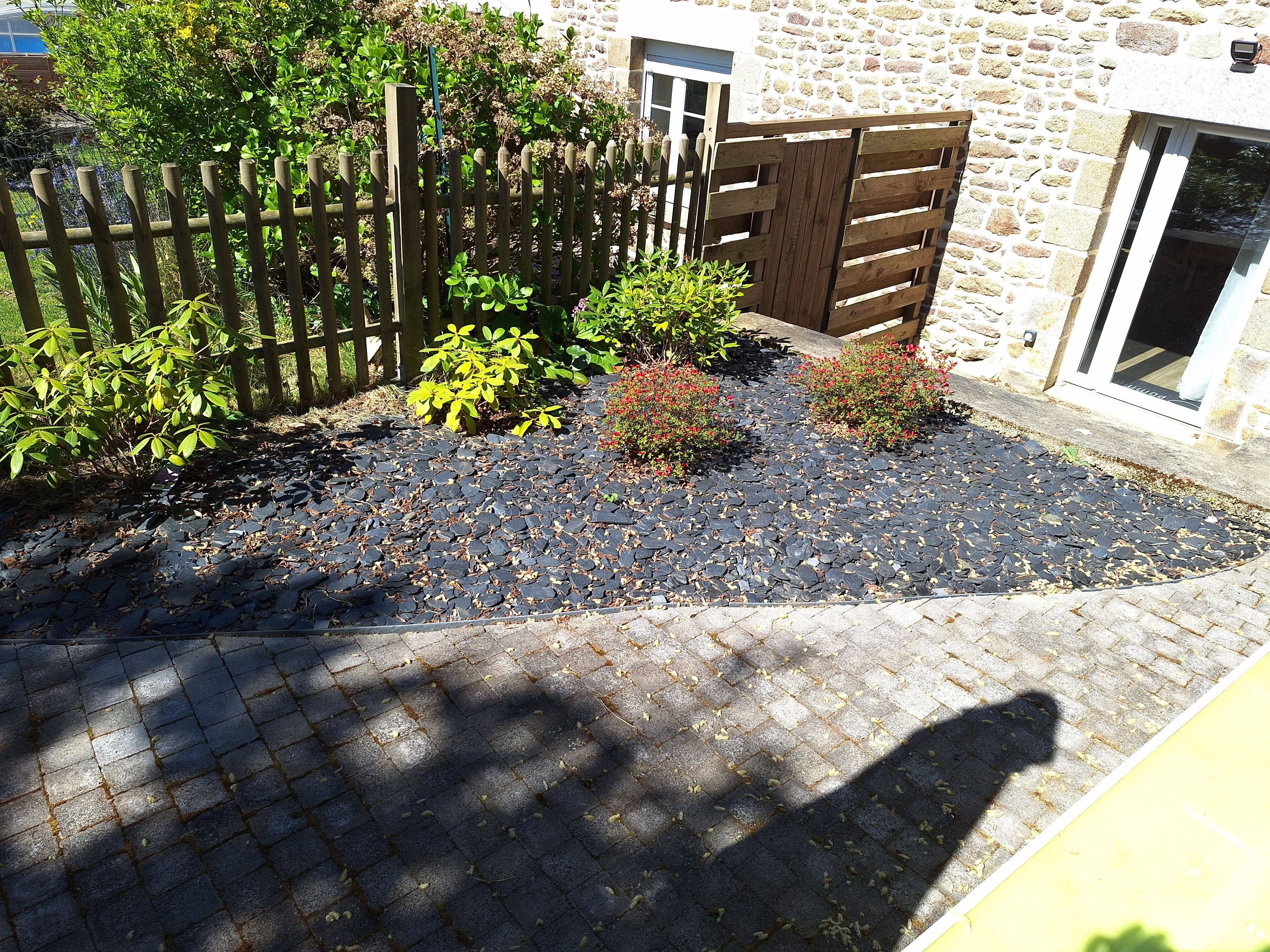 A garden area with a stone wall, a wooden gate, and various plants.