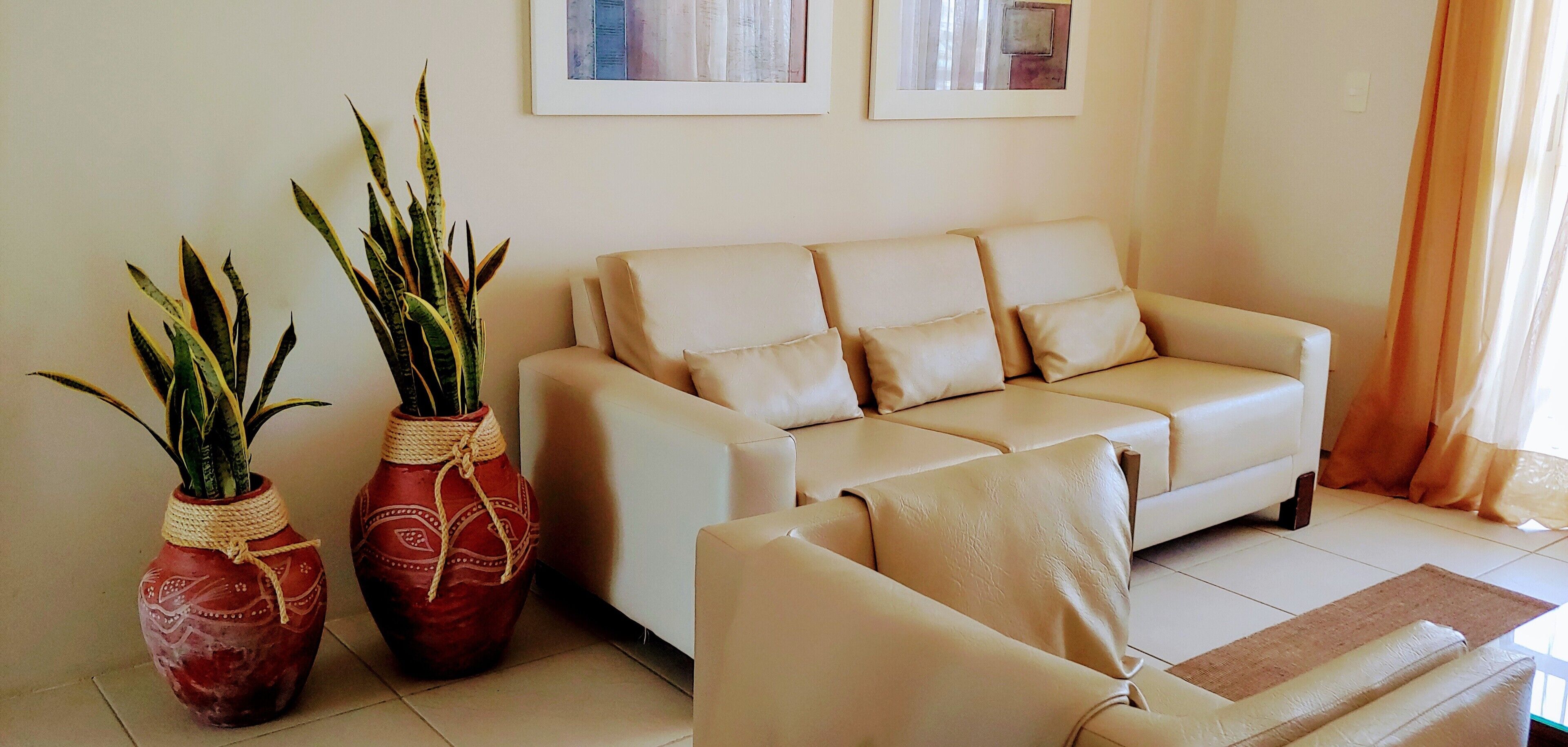 A living room with a beige sofa, two decorative vases with plants, and two framed pictures on the wall.