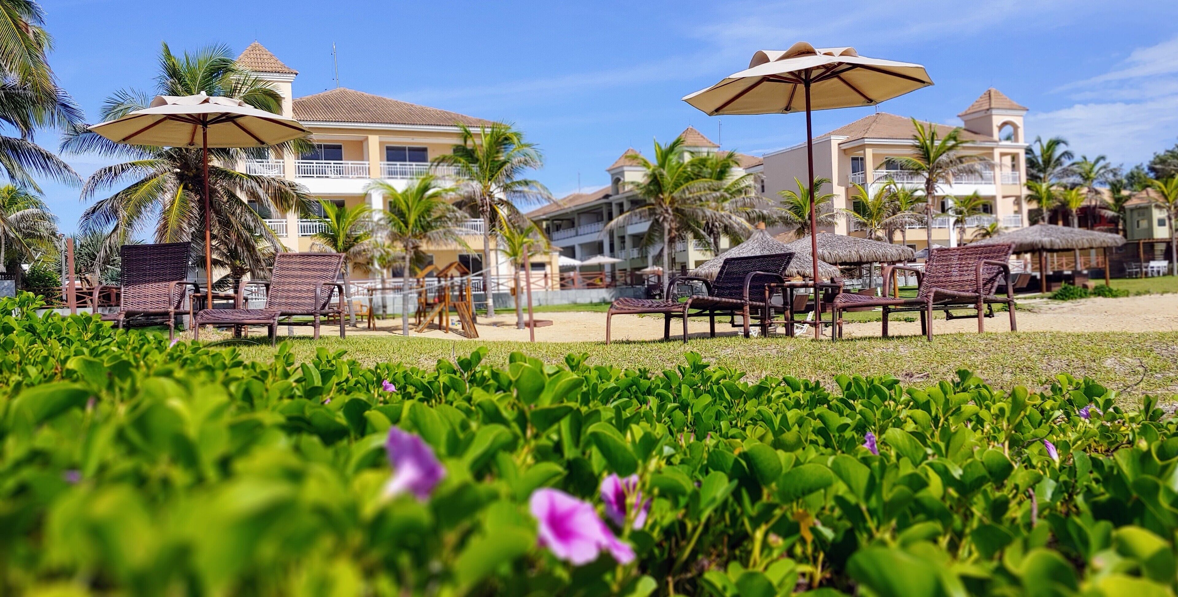 Terrein van de accommodatie