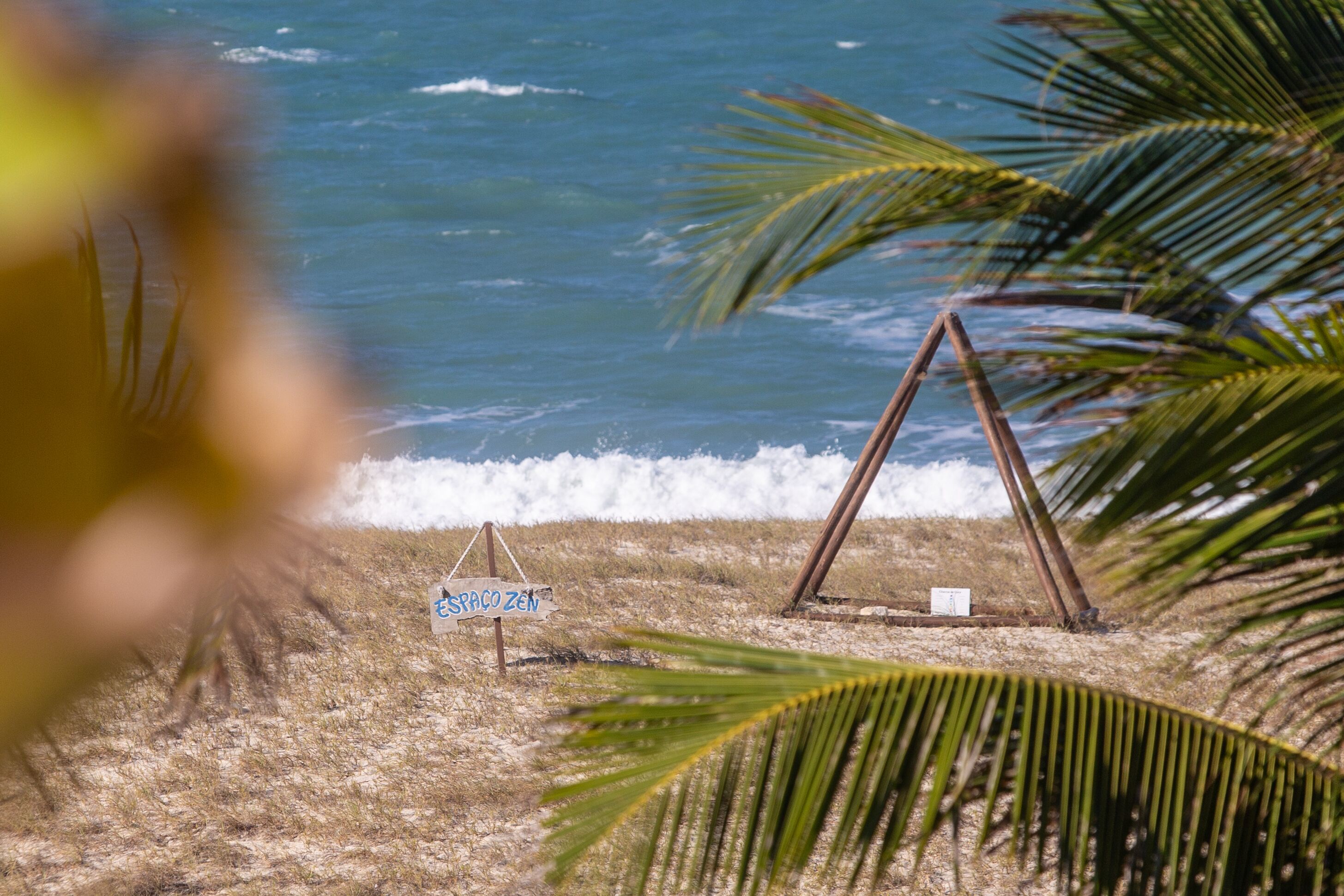 Una playa con un letrero que dice "Spaço Zen" y palmeras.