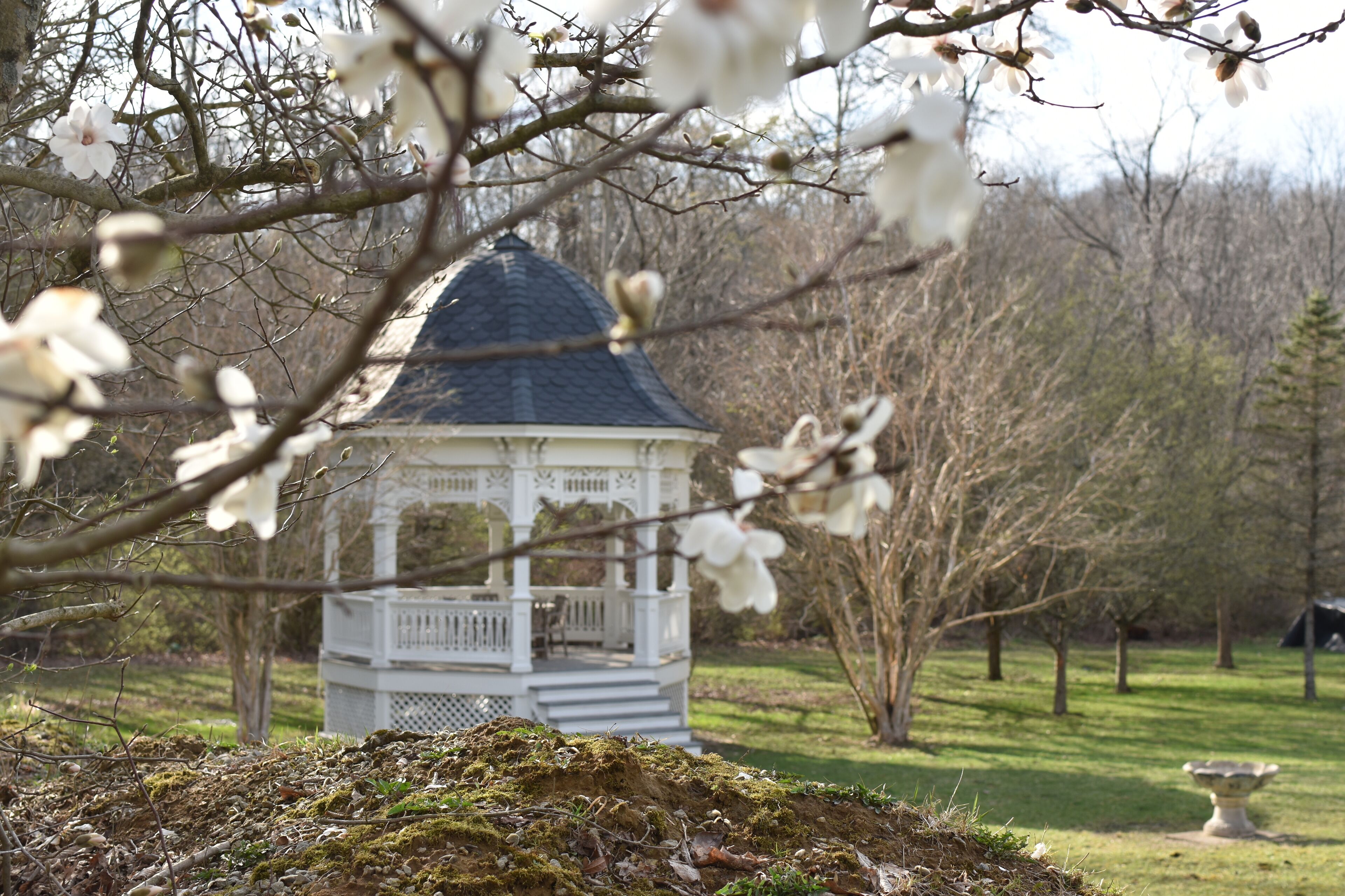 A gazebo with a white exterior and a dark roof, surrounded by trees and a grassy area.