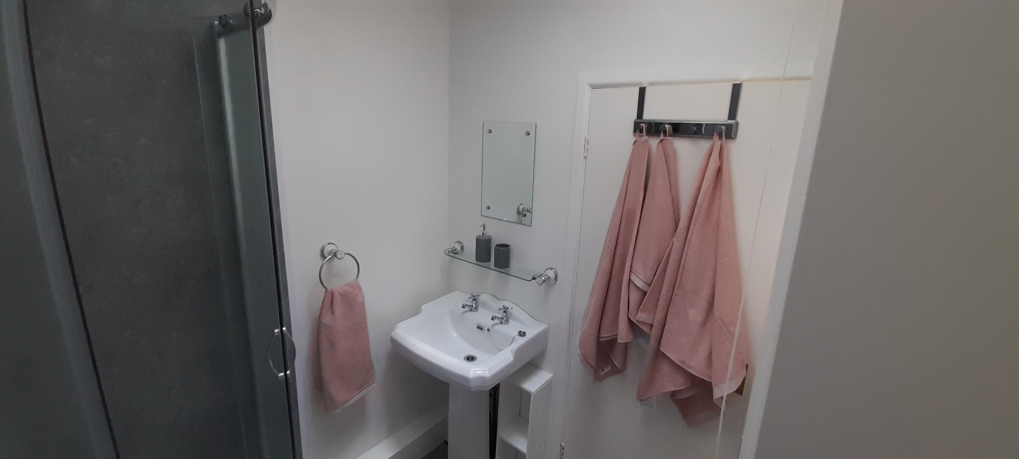 Shower, towels, toilet paper
