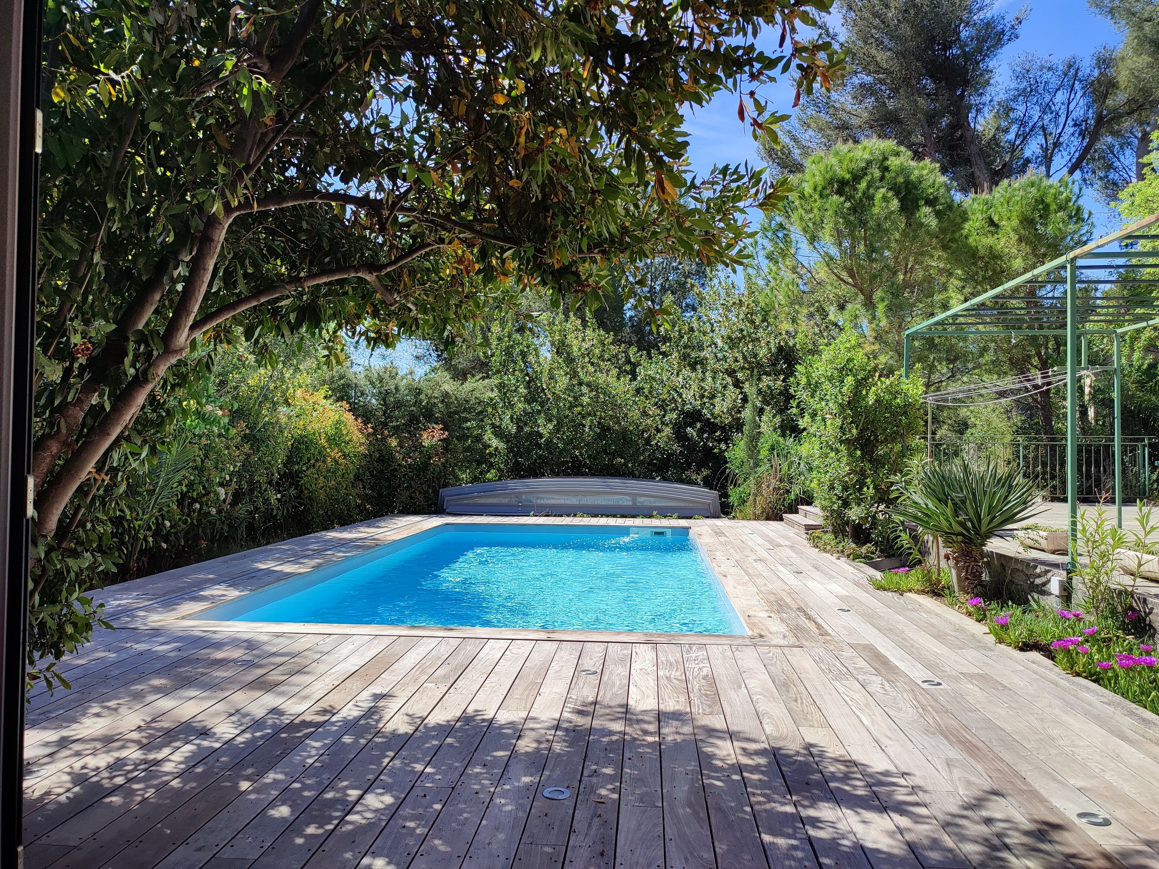 Eine Holzterrasse mit einem Swimmingpool, umgeben von üppiger Vegetation und Bäumen.