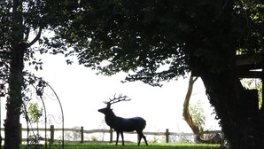 Eine Hirschstatue in einem Park mit einer Steinmauer und einem Holzzaun.