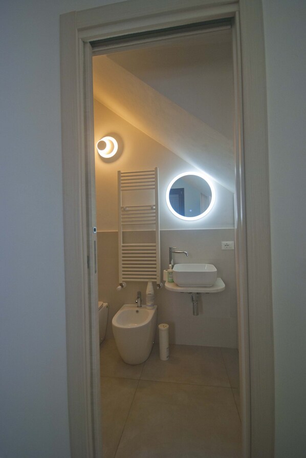 Shower, hair dryer, bidet, towels