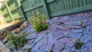 A garden area with a stone pathway, plants, and a green fence. - Sunnymede (Keighley)
