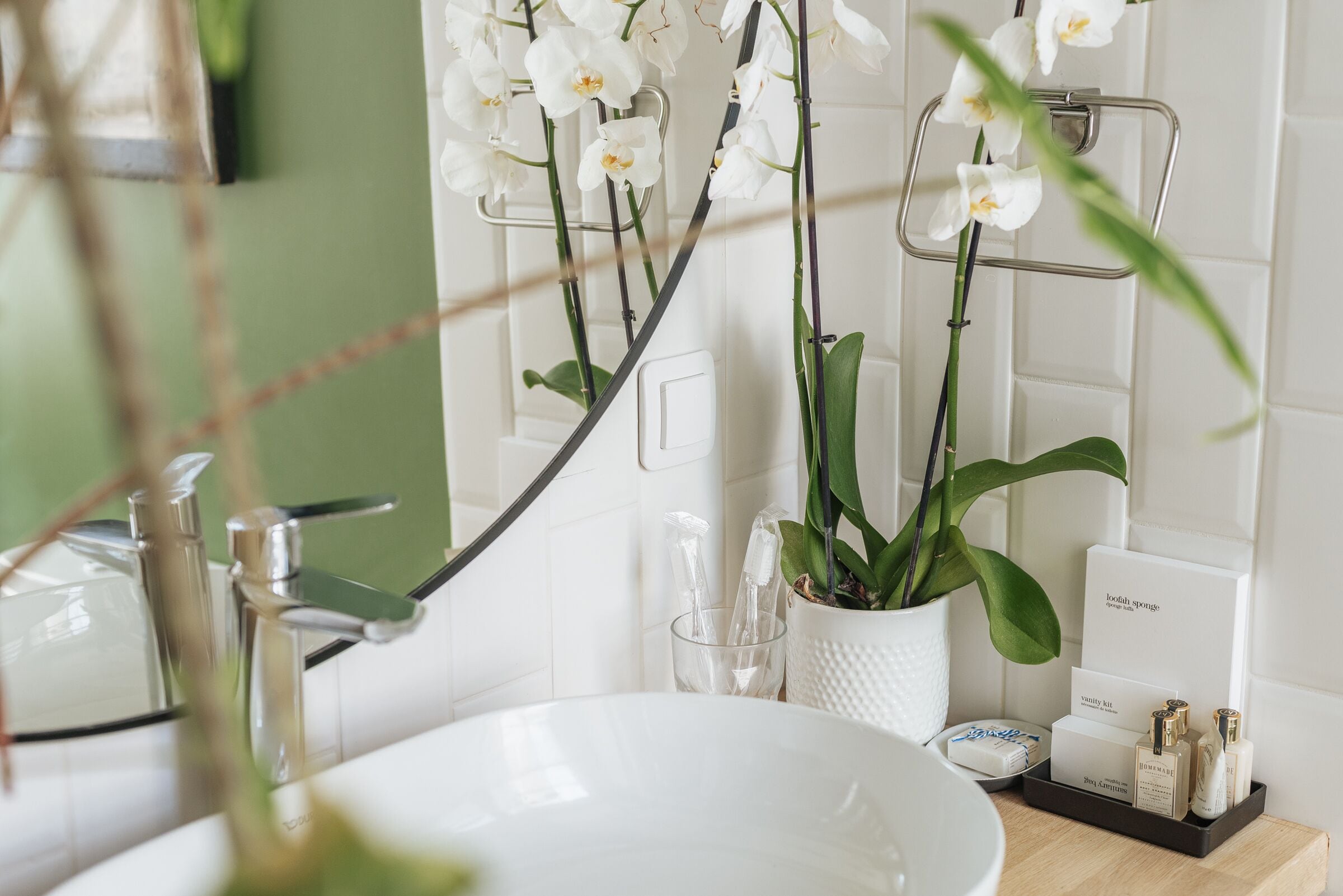 A bathroom with a white sink, a mirror, a toothbrush holder, and a potted orchid.