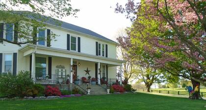 Farmhouse in the Country-Perfect Place to Relax and Enjoy Family and Friends!