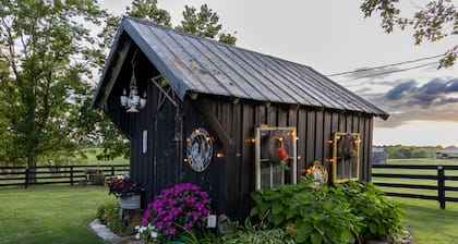 Farmhouse in the Country-Perfect Place to Relax and Enjoy Family and Friends!