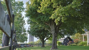 A large tree in a grassy area with a wooden fence and a building in the background. -  Farmhouse in the Country-Perfect Place to Relax and Enjoy Family and Friends! (Lebanon)