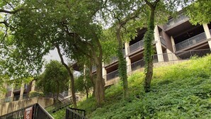 A multi-story building with balconies, surrounded by lush greenery and trees. - River City Resorts: C202 along the Comal River (New Braunfels)
