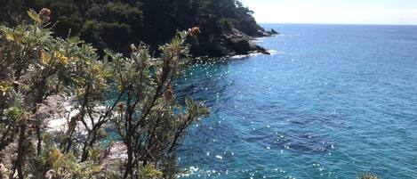 A coastal landscape with clear blue sea, rocky cliffs, and dense greenery.