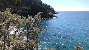 Eine Küstenlandschaft mit klarem, blauem Meer, felsigen Klippen und üppiger Vegetation.