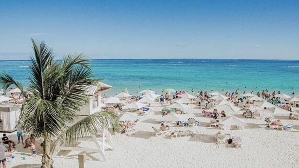Una playa con numerosos sombrillas y sillas de tomar el sol, una palmera y un cielo azul despejado.