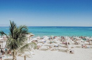 A beach with numerous umbrellas and sun loungers, a palm tree, and a clear blue sky.