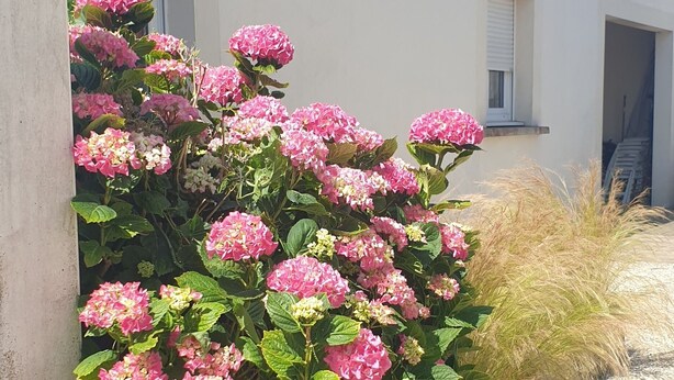 A building with a white exterior and a tiled roof. - Wheelchair-accessible house, 15min walk to beaches and 2min to town center. (Jard-sur-Mer)