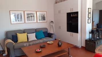 Cheminée, lecteur de DVD, livres, chaßne hi-fi