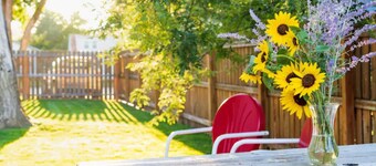 Cozy bungalo near restaurants, downtown, and Black Hills