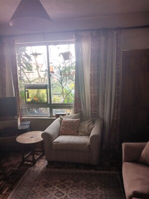 Smart TV, libri, monitor per computer, stampante