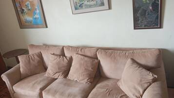Smart TV, books, computer monitors, printers