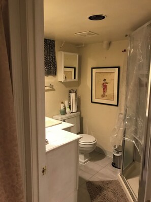 Dusche, Haartrockner, Handtücher, Seife