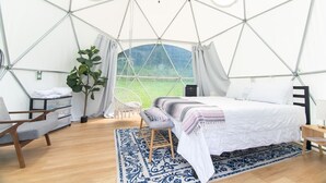 A spacious tent with a bed, a chair, a hanging chair, and a potted plant.