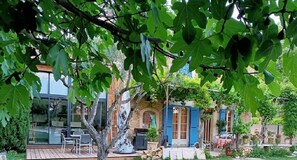 Exterior - Superb apartment in the heart of Provence, near Avignon (Entraigues-sur-la-Sorgue)