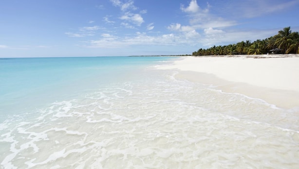 Una platja amb aigua turquesa cristal·lina, sorra blanca i una filera de palmeres al fons.