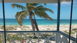 Vistes a la platja des d'un espai cobert, amb una palmera al primer pla.