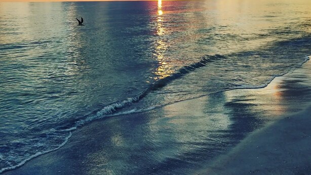 Un atardecer sobre un mar tranquilo con un pájaro volando.