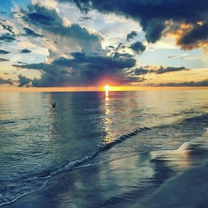 A sunset over a calm sea with a bird flying.