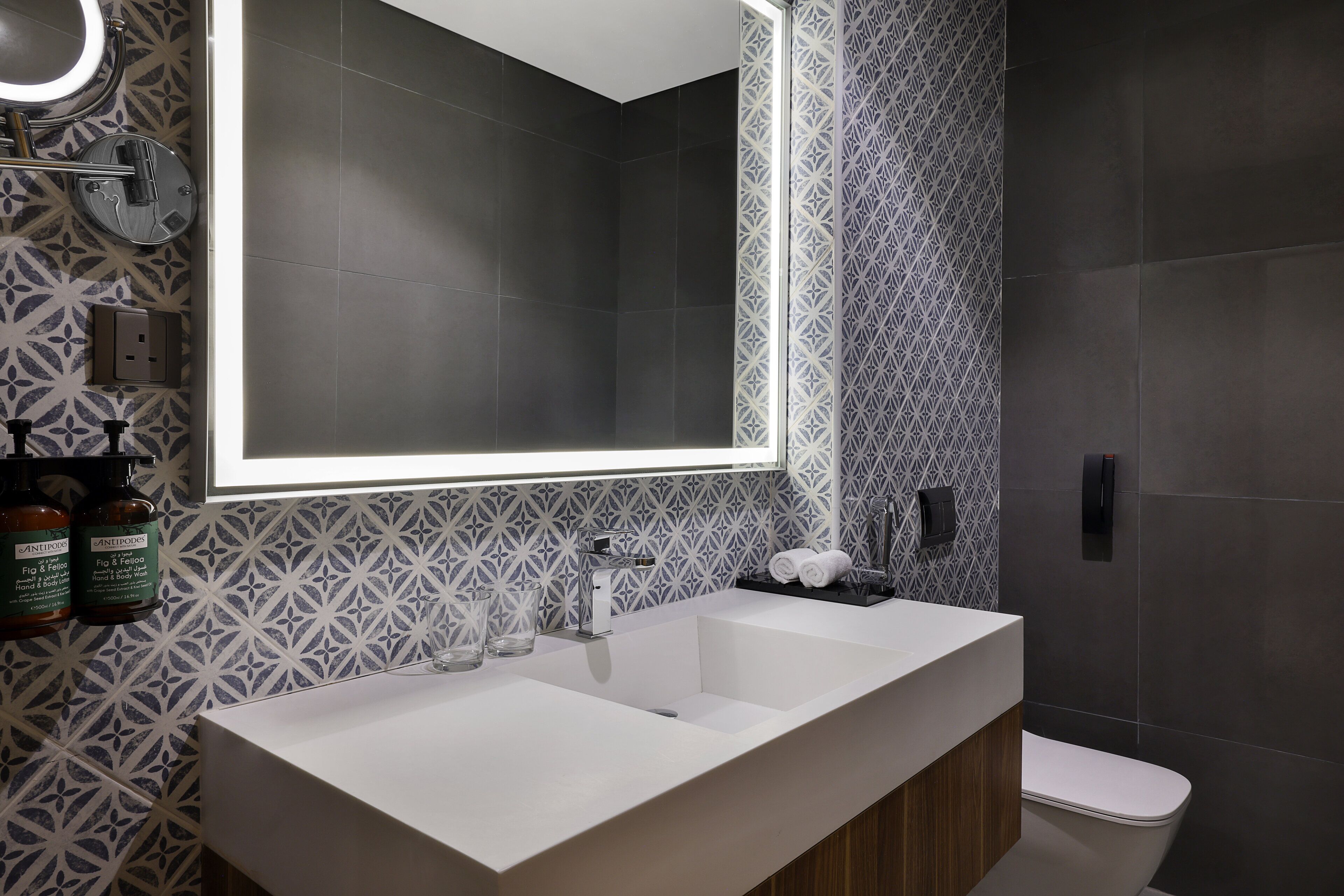 Shower, hair dryer, slippers, bidet