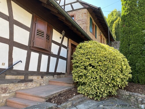 Charming studio in Niederbronn-les-Bains