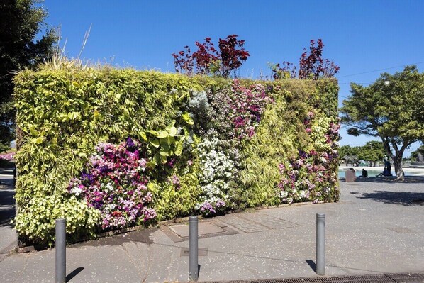 Ein angelegter Garten mit verschiedenen Pflanzen und Blumen, einem gepflasterten Weg und Leitpfosten.