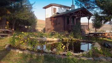 Economy-Chalet | Schreibtisch, Bügeleisen/Bügelbrett, Bettwäsche