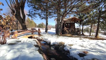 Situated among tall pine trees, this cabin offers a serene escape with a porch and a nearby stream.