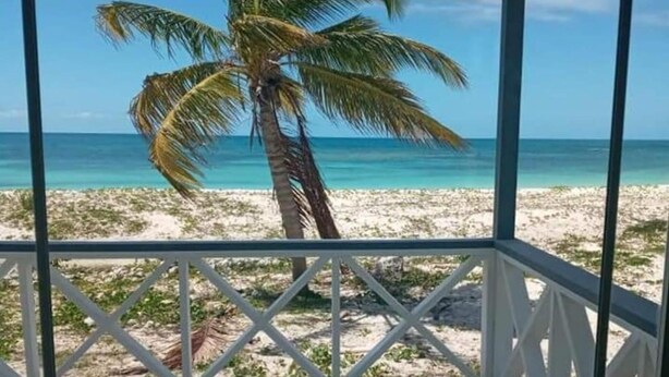 Vista a la playa desde un espacio cubierto, con una palmera al frente.